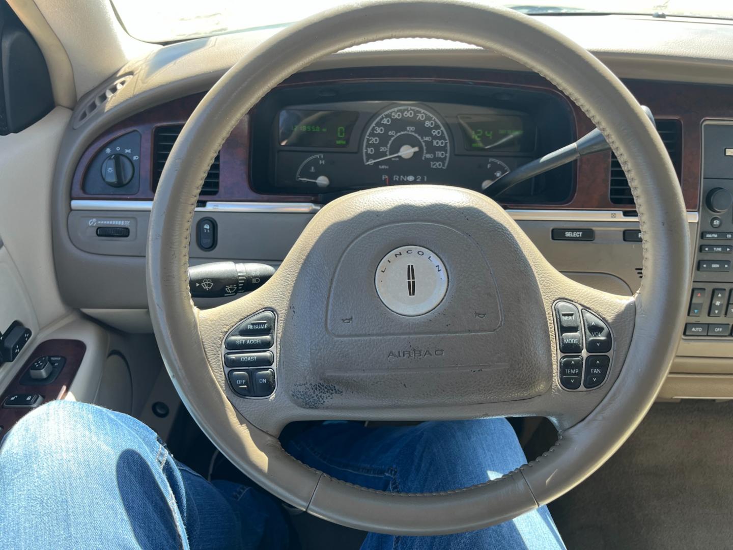 2004 green /TAN Lincoln Town Car Signature (1LNHM81W84Y) with an 4.6L V8 SOHC 16V engine, 4-Speed Automatic Overdrive transmission, located at 14700 Tomball Parkway 249, Houston, TX, 77086, (281) 444-2200, 29.928619, -95.504074 - Photo#14